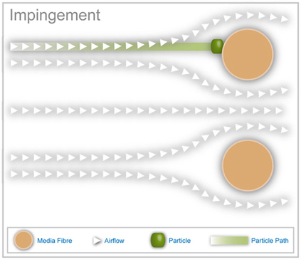 Impingement1_large