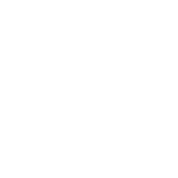 spanesi-logo